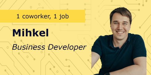 Visuel Mihkel, Business Developer