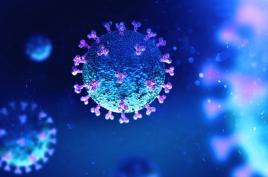 Image Coronavirus - Covid 19